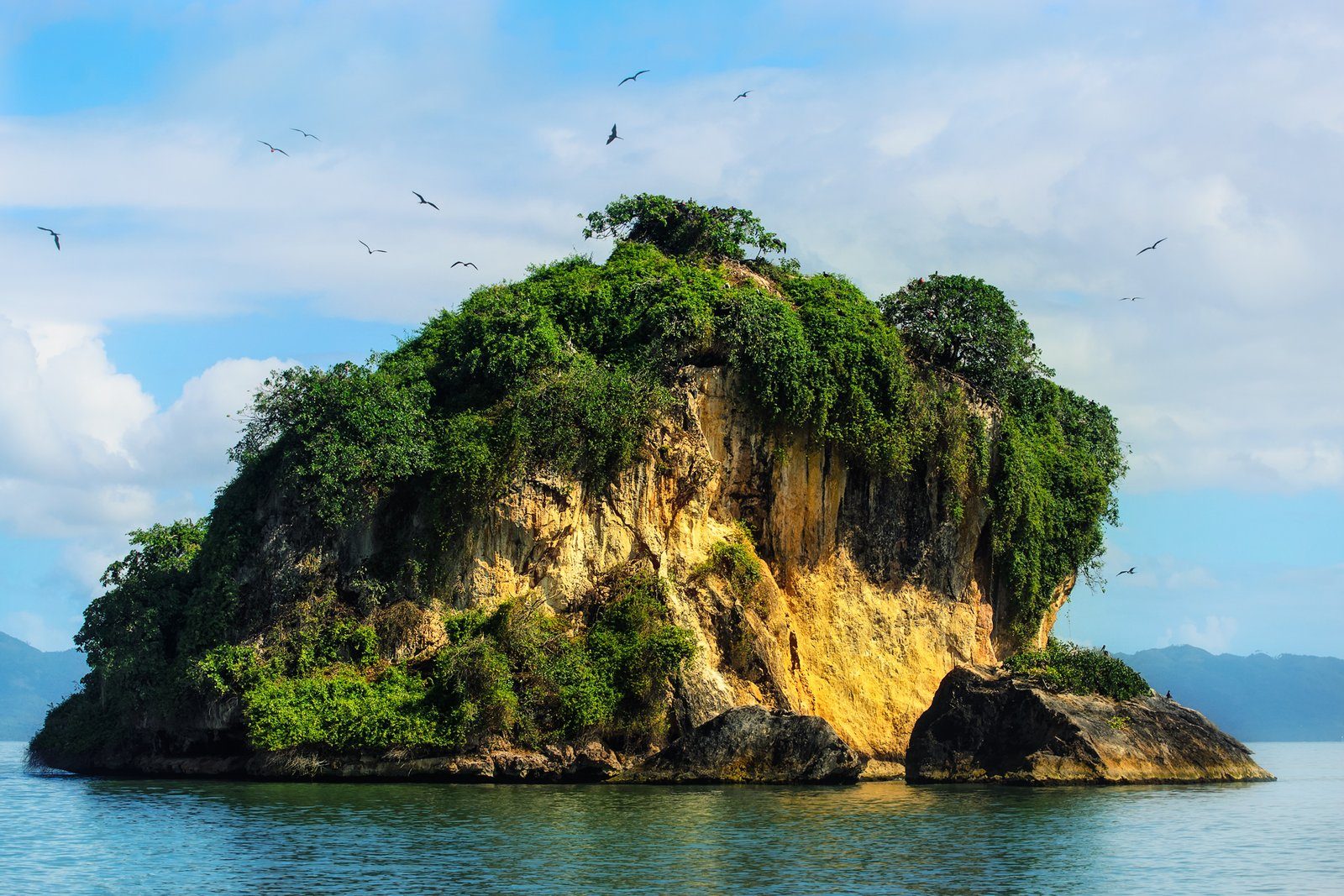 Los Haitises National Park: a limestone islet with seabirds in Samaná Bay
