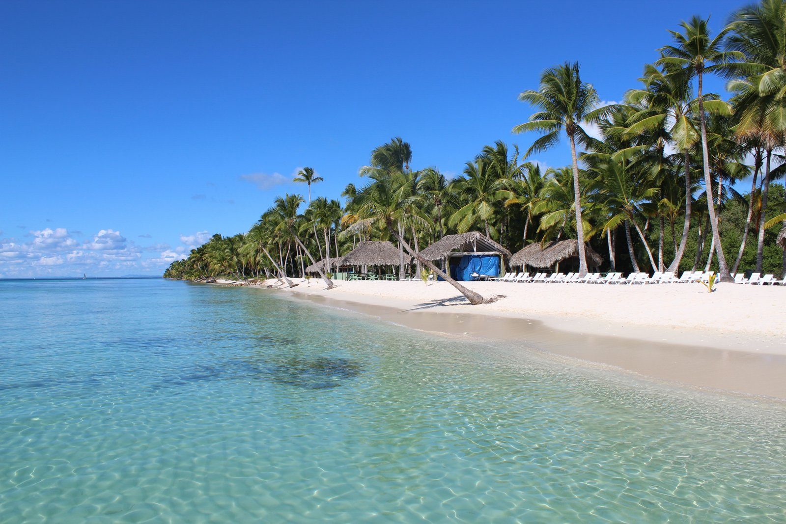 Isla Saona: the beach where the boats land, with palms and beach huts